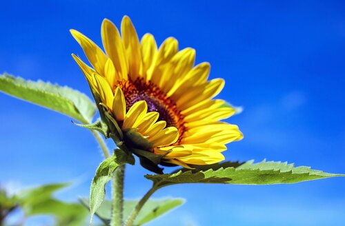 Sommerferien_2025