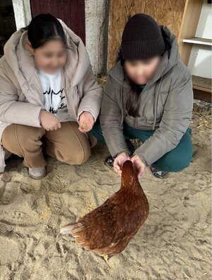 Lernbauernhof_2024_3