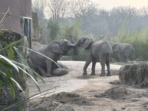 Zooschule_2024_1